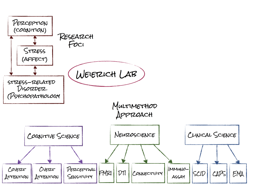 Schematic of Lab Topics